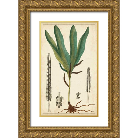 Foliage Botanique II Gold Ornate Wood Framed Art Print with Double Matting by Turpin
