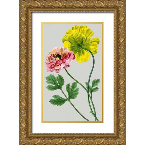 Vintage Garden Varieties I Gold Ornate Wood Framed Art Print with Double Matting by Vision Studio