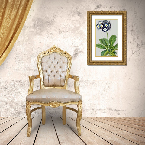 Vintage Garden Varieties IV Gold Ornate Wood Framed Art Print with Double Matting by Vision Studio