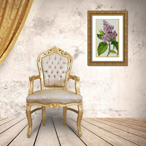 Vintage Garden Varieties V Gold Ornate Wood Framed Art Print with Double Matting by Vision Studio