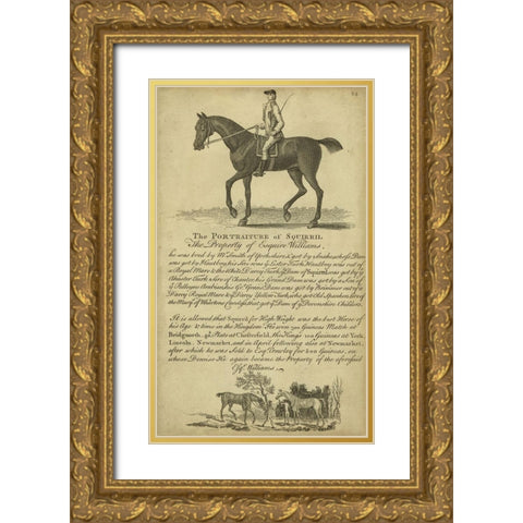 Horse Portraiture VI Gold Ornate Wood Framed Art Print with Double Matting by Unknown