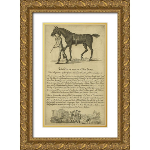 Horse Portraiture VIII Gold Ornate Wood Framed Art Print with Double Matting by Unknown