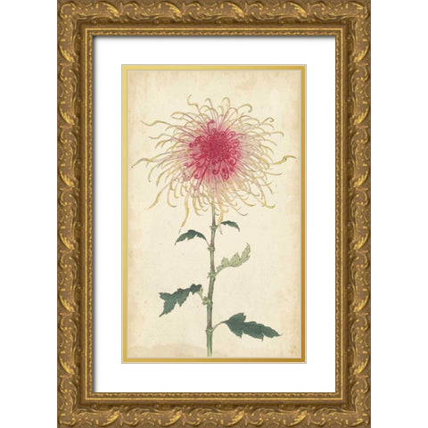 Elegant Chrysanthemums I Gold Ornate Wood Framed Art Print with Double Matting by Unknown