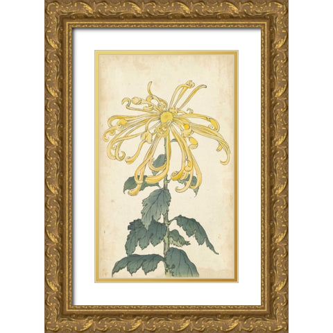 Elegant Chrysanthemums II Gold Ornate Wood Framed Art Print with Double Matting by Unknown