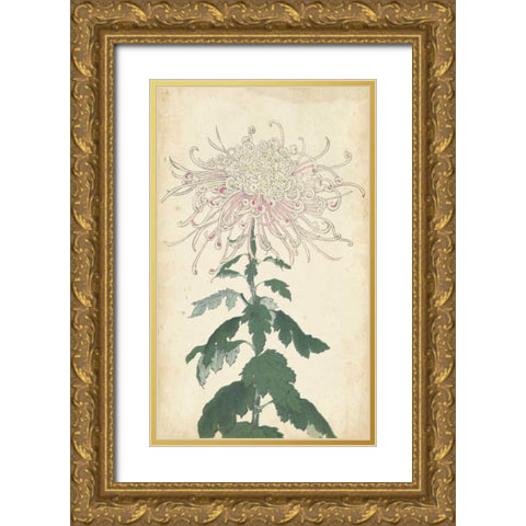 Elegant Chrysanthemums IV Gold Ornate Wood Framed Art Print with Double Matting by Unknown
