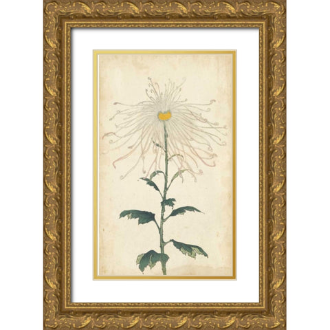Elegant Chrysanthemums V Gold Ornate Wood Framed Art Print with Double Matting by Unknown