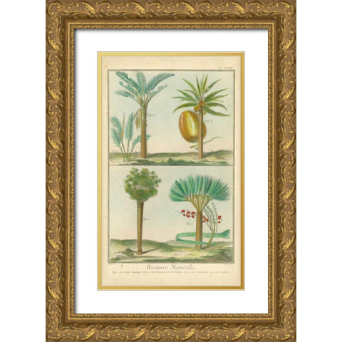 Histoire Naturelle Tropicals I Gold Ornate Wood Framed Art Print with Double Matting by Martinet
