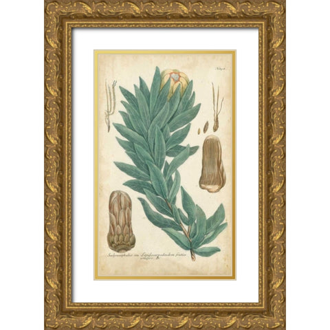 Weinmann Conifers I Gold Ornate Wood Framed Art Print with Double Matting by Weinmann
