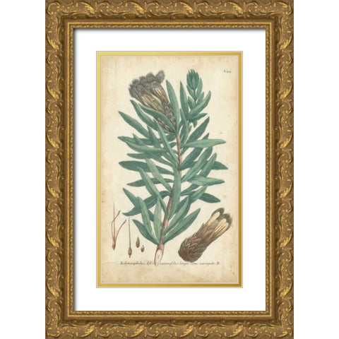 Weinmann Conifers IV Gold Ornate Wood Framed Art Print with Double Matting by Weinmann