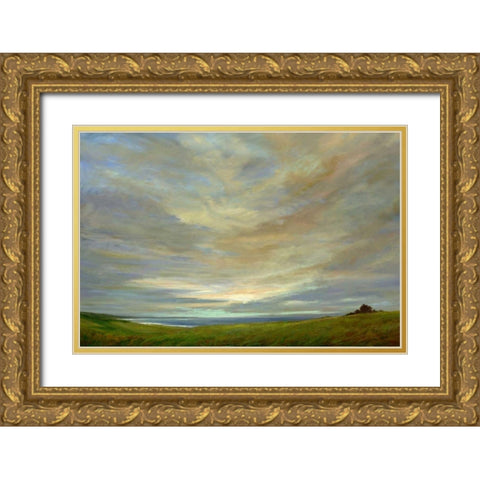 Coastal Sky Gold Ornate Wood Framed Art Print with Double Matting by Finch, Sheila