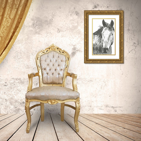 Wildlife Snapshot- Horse I Gold Ornate Wood Framed Art Print with Double Matting by McCavitt, Naomi