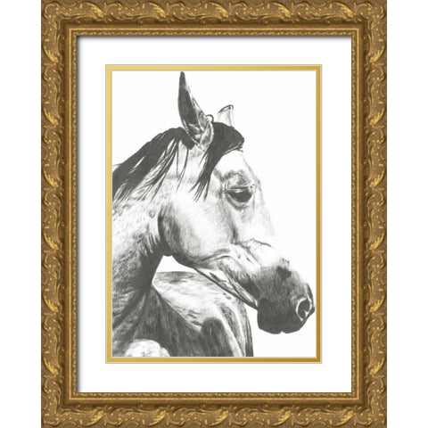 Wildlife Snapshot- Horse II Gold Ornate Wood Framed Art Print with Double Matting by McCavitt, Naomi
