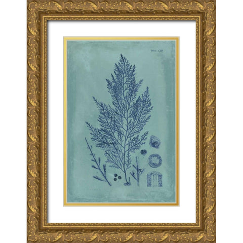 Indigo and Azure Seaweed IV Gold Ornate Wood Framed Art Print with Double Matting by Vision Studio