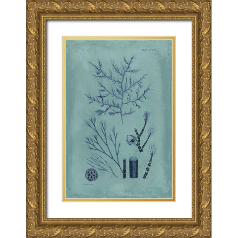 Indigo and Azure Seaweed VIII Gold Ornate Wood Framed Art Print with Double Matting by Vision Studio