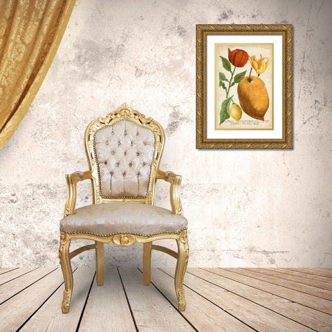 Exotic Citrus II Gold Ornate Wood Framed Art Print with Double Matting by Weinmann