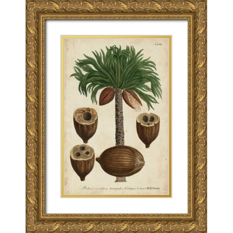 Vintage Tropicals I Gold Ornate Wood Framed Art Print with Double Matting by Weinmann