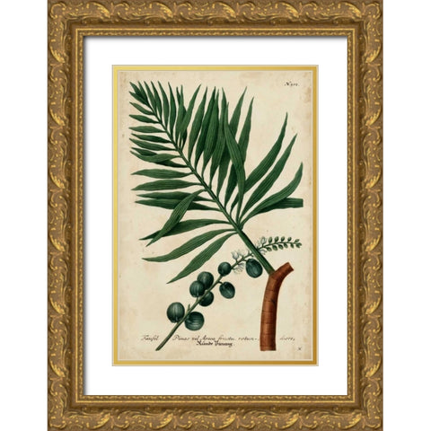 Vintage Tropicals IV Gold Ornate Wood Framed Art Print with Double Matting by Weinmann