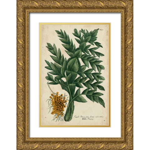 Vintage Tropicals V Gold Ornate Wood Framed Art Print with Double Matting by Weinmann
