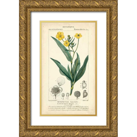 Botanique Study in Yellow III Gold Ornate Wood Framed Art Print with Double Matting by Turpin