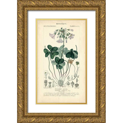 Botanique Study in Lavender I Gold Ornate Wood Framed Art Print with Double Matting by Turpin