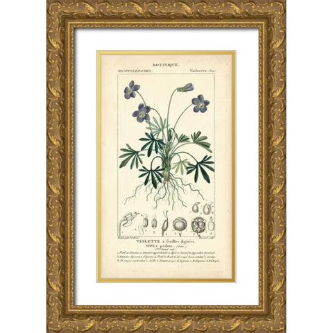Botanique Study in Lavender IV Gold Ornate Wood Framed Art Print with Double Matting by Turpin