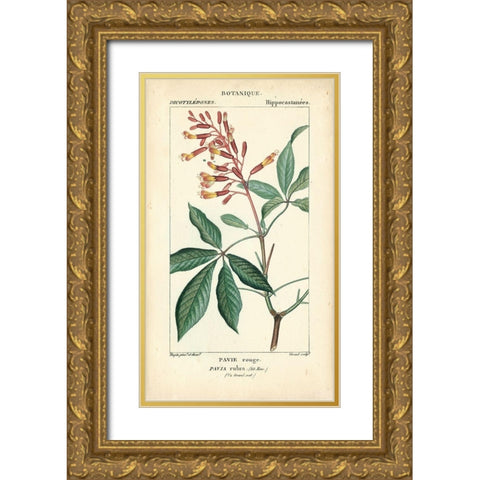 Botanique Study in Pink III Gold Ornate Wood Framed Art Print with Double Matting by Turpin