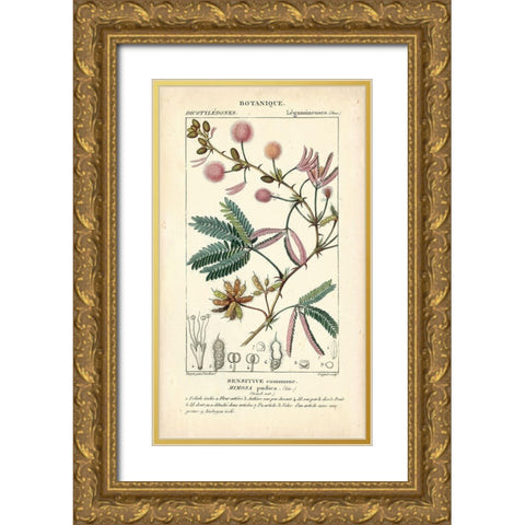 Botanique Study in Pink IV Gold Ornate Wood Framed Art Print with Double Matting by Turpin