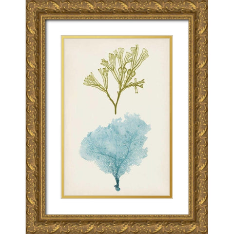 Aqua and Citron Coral II Gold Ornate Wood Framed Art Print with Double Matting by Vision Studio