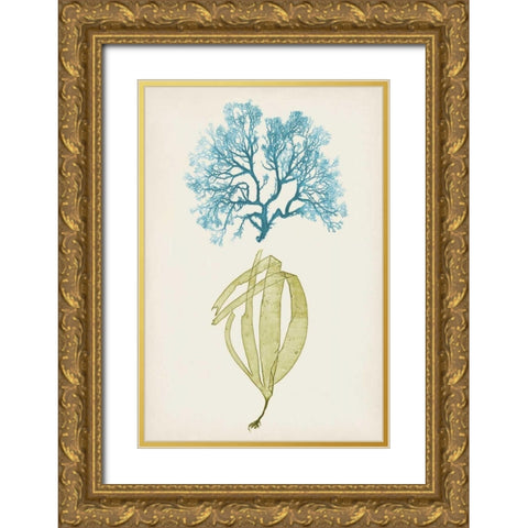Aqua and Citron Coral IV Gold Ornate Wood Framed Art Print with Double Matting by Vision Studio