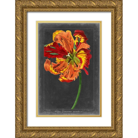 Midnight Tulip I Gold Ornate Wood Framed Art Print with Double Matting by Vision Studio