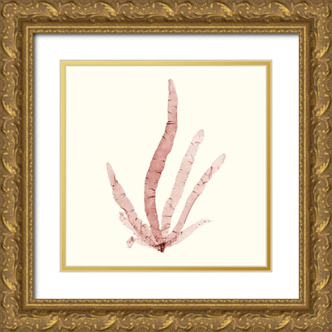 Seaweed Collection VI Gold Ornate Wood Framed Art Print with Double Matting by Vision Studio