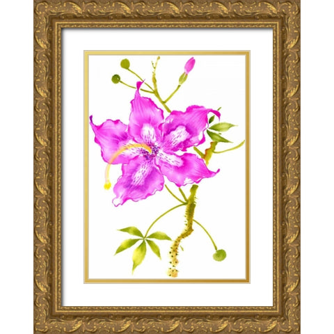 Hibiscus Flower I Gold Ornate Wood Framed Art Print with Double Matting by Rae, Nan