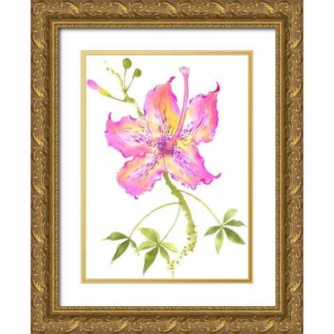 Hibiscus Flower IV Gold Ornate Wood Framed Art Print with Double Matting by Rae, Nan