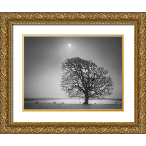 Evening Light II Gold Ornate Wood Framed Art Print with Double Matting by Henson, Martin