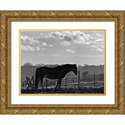 Evening Light III Gold Ornate Wood Framed Art Print with Double Matting by Henson, Martin
