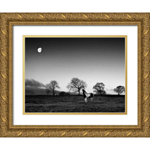Evening Light IV Gold Ornate Wood Framed Art Print with Double Matting by Henson, Martin