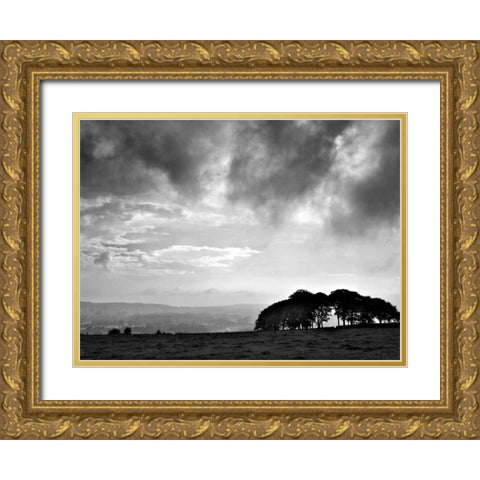 Storm Clouds Gold Ornate Wood Framed Art Print with Double Matting by Henson, Martin