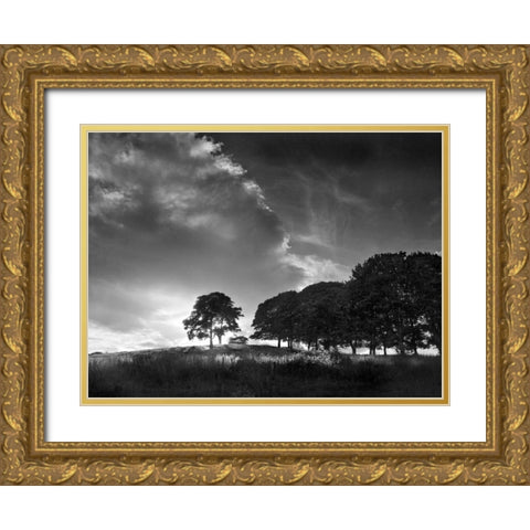 Touched by Sunlight Gold Ornate Wood Framed Art Print with Double Matting by Henson, Martin