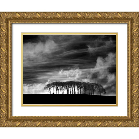 Early Morning Clouds Gold Ornate Wood Framed Art Print with Double Matting by Henson, Martin