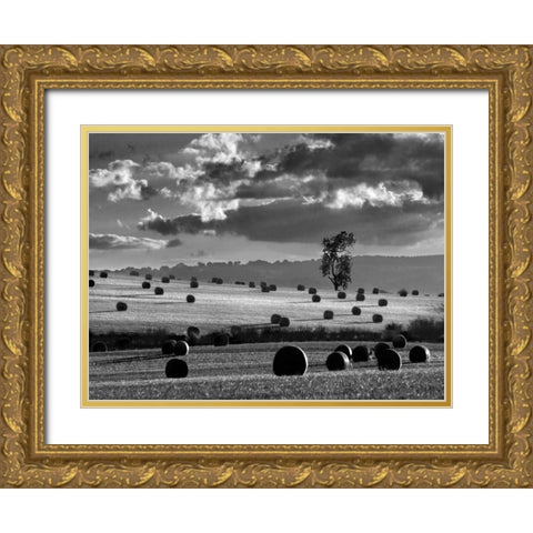 Rolls of Hay Gold Ornate Wood Framed Art Print with Double Matting by Henson, Martin