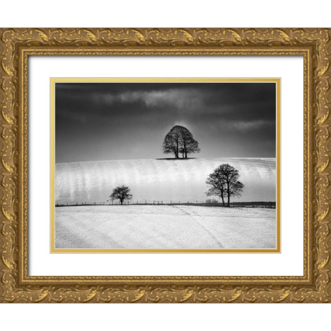 Winter Triangle Gold Ornate Wood Framed Art Print with Double Matting by Henson, Martin