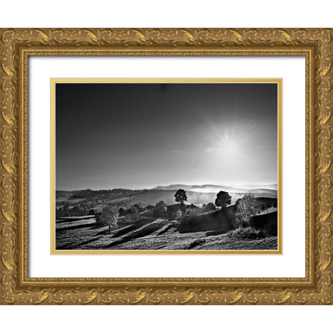 Extreme Sunlight Gold Ornate Wood Framed Art Print with Double Matting by Henson, Martin