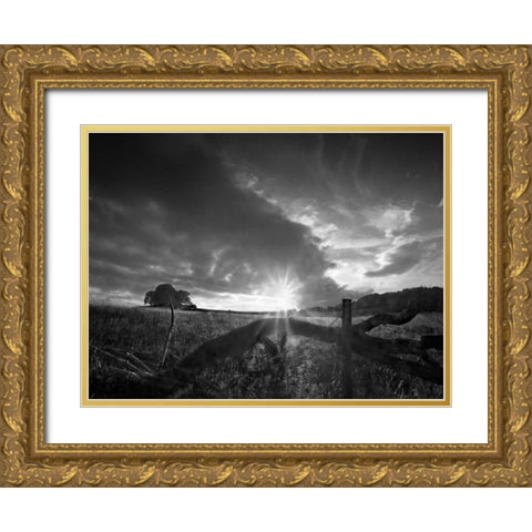 Fallen Tree Gold Ornate Wood Framed Art Print with Double Matting by Henson, Martin