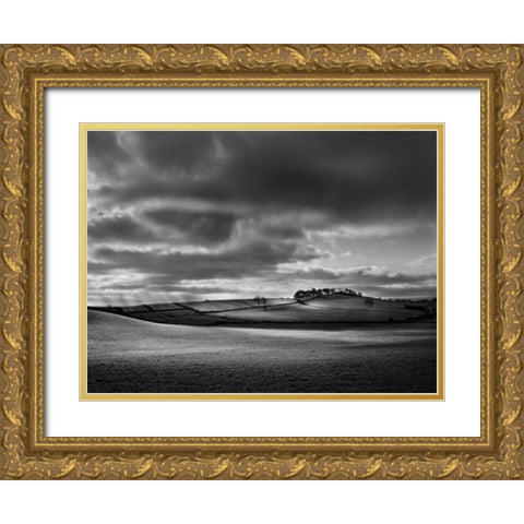 Billings View Gold Ornate Wood Framed Art Print with Double Matting by Henson, Martin