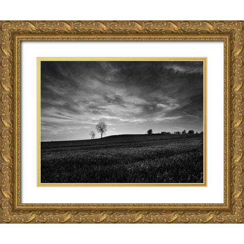 Black and White Sunset Gold Ornate Wood Framed Art Print with Double Matting by Henson, Martin