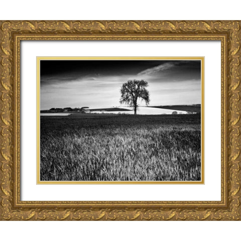 Field Texture Gold Ornate Wood Framed Art Print with Double Matting by Henson, Martin