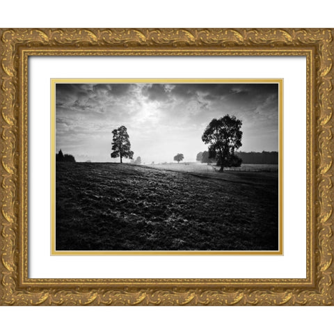Breaking Light Gold Ornate Wood Framed Art Print with Double Matting by Henson, Martin