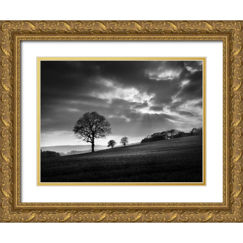 Sundown Gold Ornate Wood Framed Art Print with Double Matting by Henson, Martin