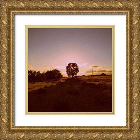Sunset Field II Gold Ornate Wood Framed Art Print with Double Matting by Bell, Lillian