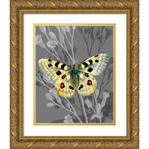 On Display II Gold Ornate Wood Framed Art Print with Double Matting by Burghardt, James
